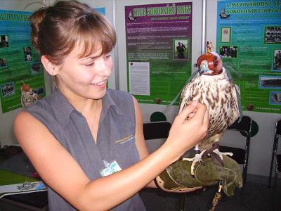 hôtesse, Natura viva, Lysá nad Labem
