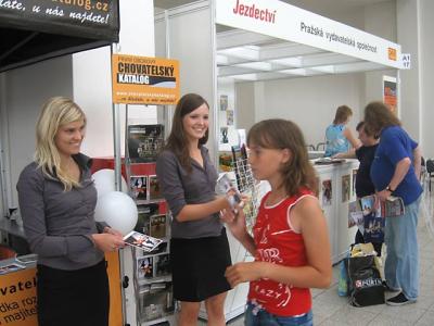 hostesky, propet, brno