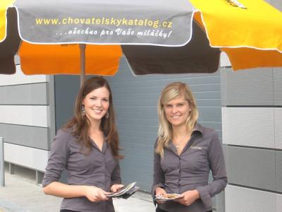 hostesky, propet, brno