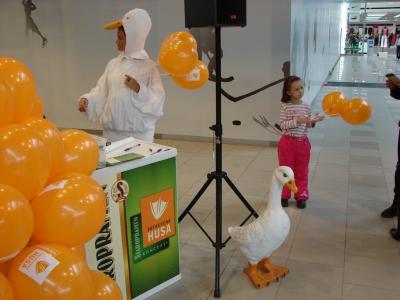 Hostesky Bratislava Staropramen