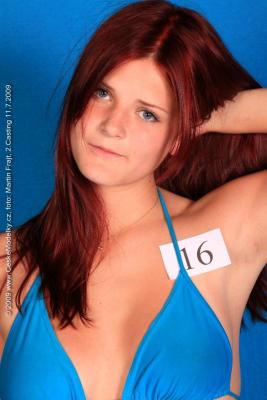 Miss Příbramska 2.casting