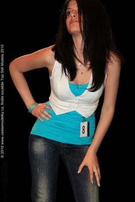 Meilleurs modèles d'alambic 2010