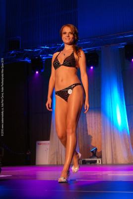 Podhostynska Miss Open 2010 v porote Radek Ahne