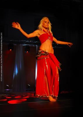 Podhostynska Miss Open 2010 v porote Radek Ahne