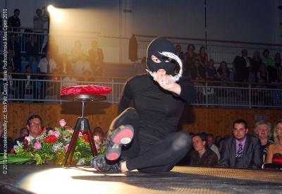 Podhostynska Miss Open 2010 v porote Radek Ahne