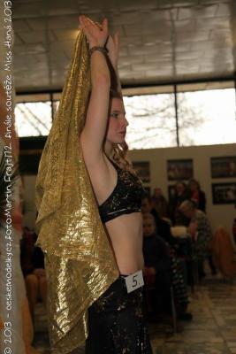 Finále Miss Haná 2013