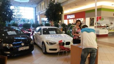 Zajištění hostesky OC Tulip Martin