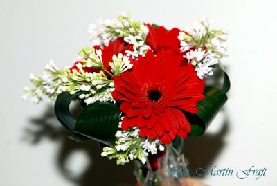 Módní přehlídka na veletrhu eshopu Moda Giovanna