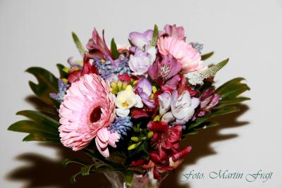 Módní přehlídka na veletrhu eshopu Moda Giovanna