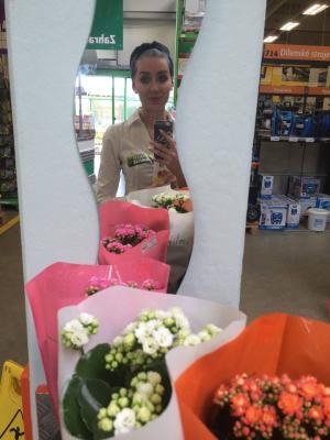 Promoteri Pardubice GLOBUS