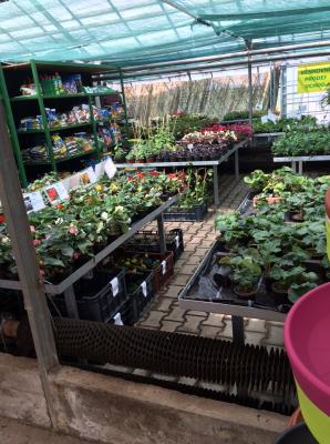 Promoteri Pardubice Stanislav Kopriva ZC