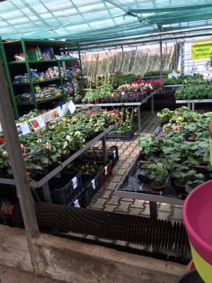 Promoteri Ruzna města promotéři