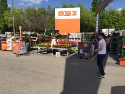 Promoteri Zlín Malenovice OBI