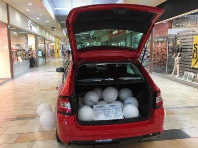 Hosteska pro AAA AUTO v Koline