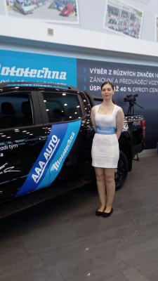 Hostesky na vánoční večírek pro AAA AUTO