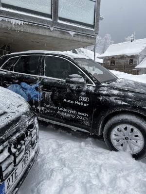 Zajistili jsme hostesky pro AUDI ledove sochy