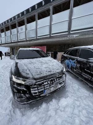 Zajistili jsme hostesky pro AUDI ledove sochy