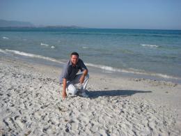 model/138/sardinie 557.jpg