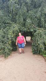 modelky/29274/Obrázek WhatsApp, 2024-03-25 v 17.36.00_e3ba2a2d.jpg